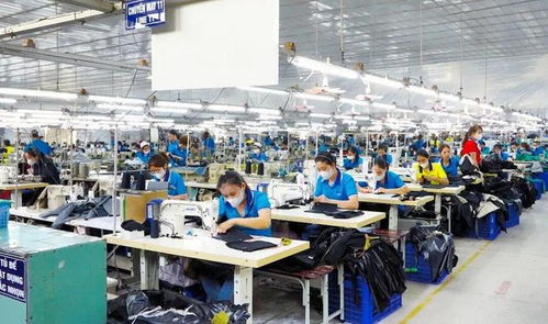 东莞电子厂外迁越南，工人失业困境与网络技术服务解决方案